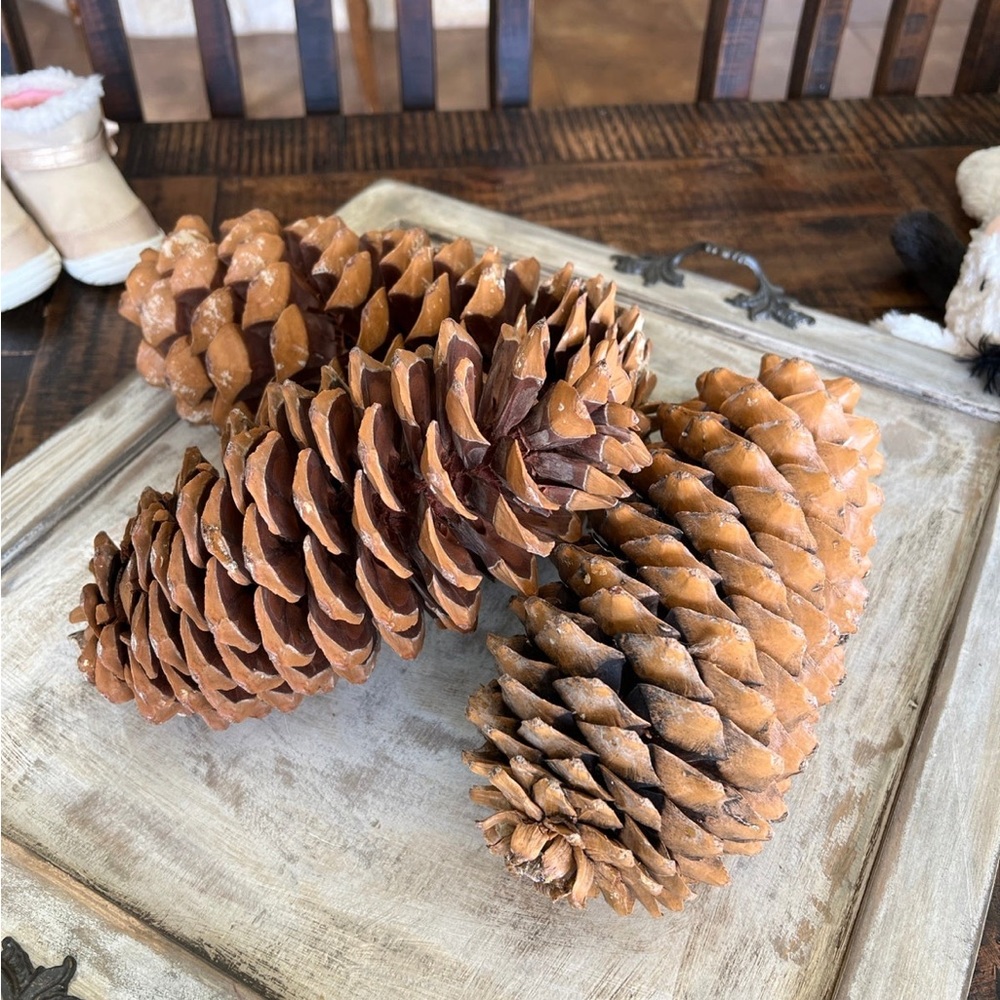 Pottery Barn Oversized Pinecones
